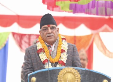 category photo