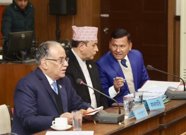 category photo