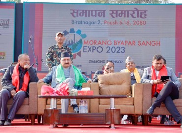 category photo