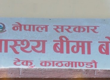 category photo