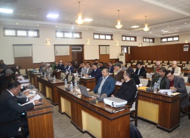 category photo