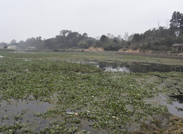 category photo