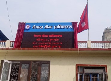 category photo