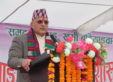 category photo