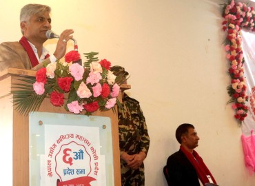 category photo