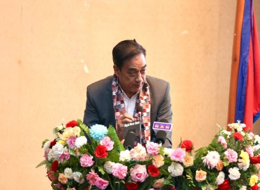 category photo