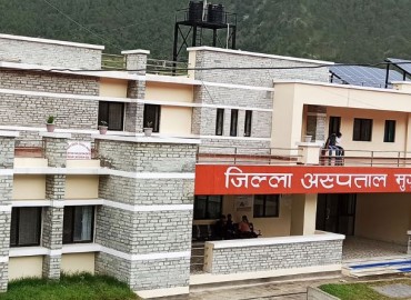 category photo