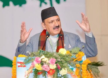 category photo