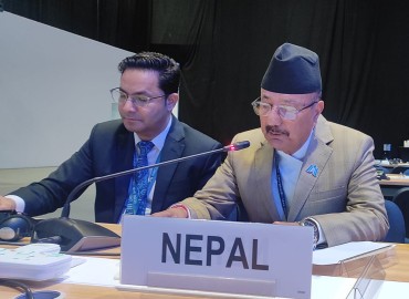 category photo