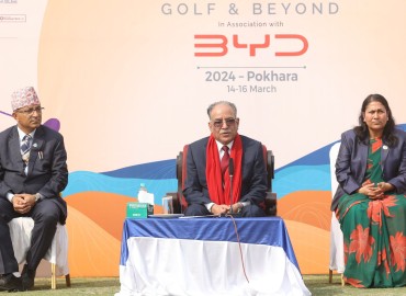category photo