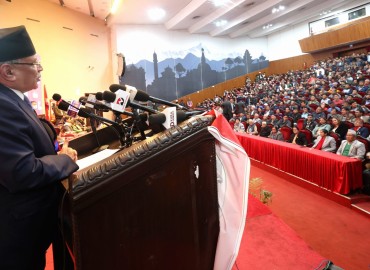 category photo