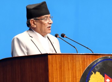 category photo