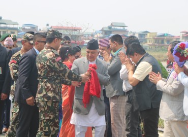 category photo