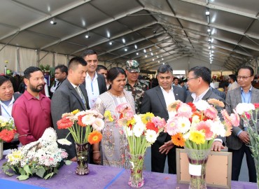 category photo