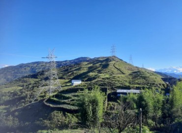 category photo