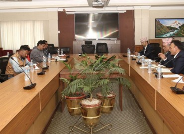 category photo
