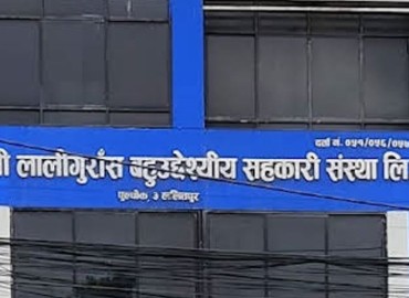 category photo