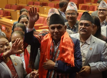 category photo