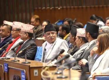 category photo