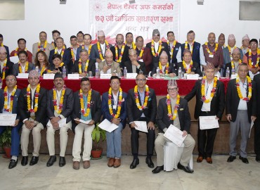 category photo
