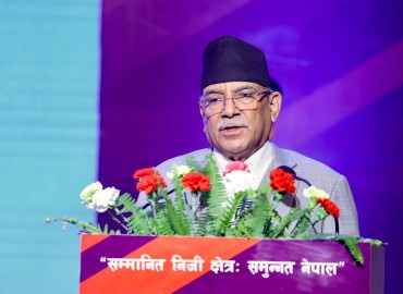 category photo
