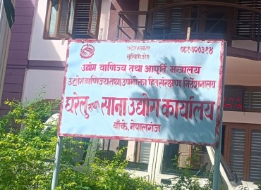 category photo