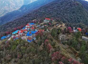 category photo