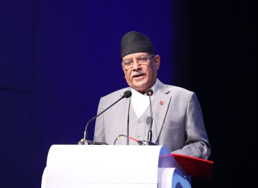 category photo