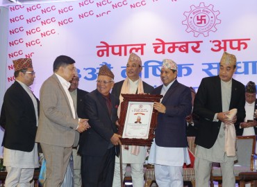 category photo