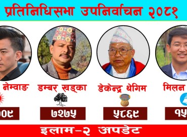 category photo