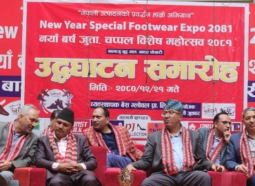 category photo