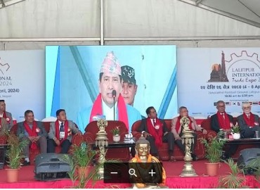 category photo