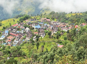 category photo