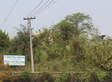 category photo