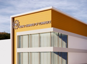 category photo