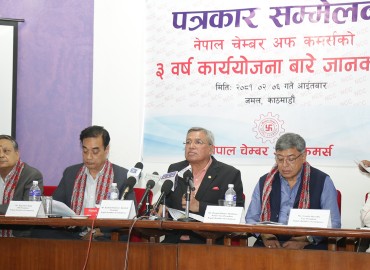 category photo