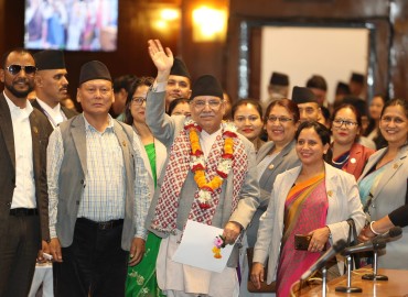 category photo