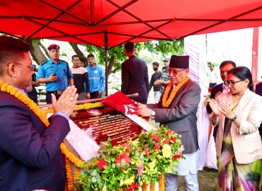 category photo
