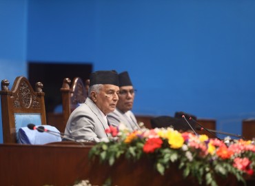 category photo