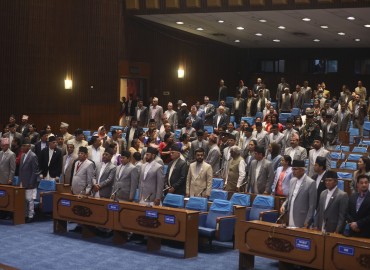 category photo