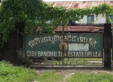 category photo