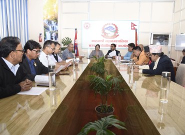 category photo