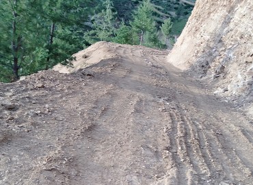 category photo
