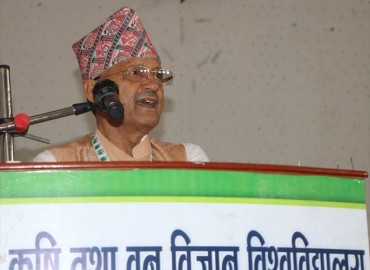 category photo