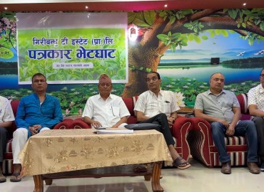 category photo