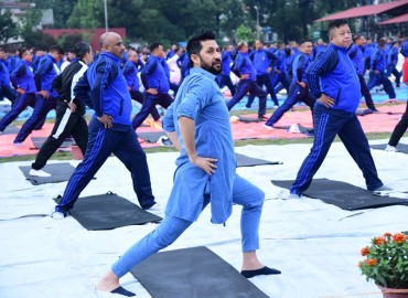 category photo