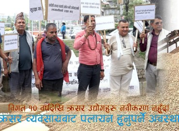 category photo