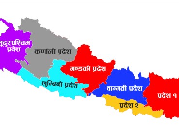 category photo