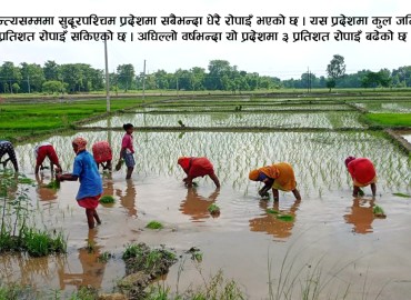 category photo