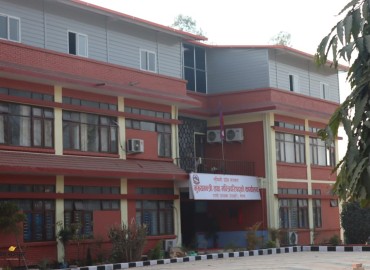 category photo